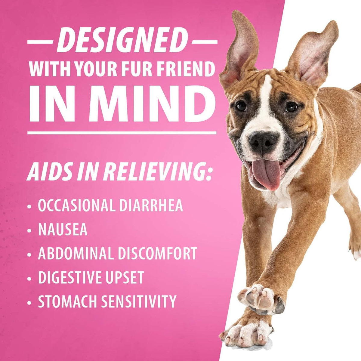 jeffers diawin digestive support tablets for dogs, beef, side view