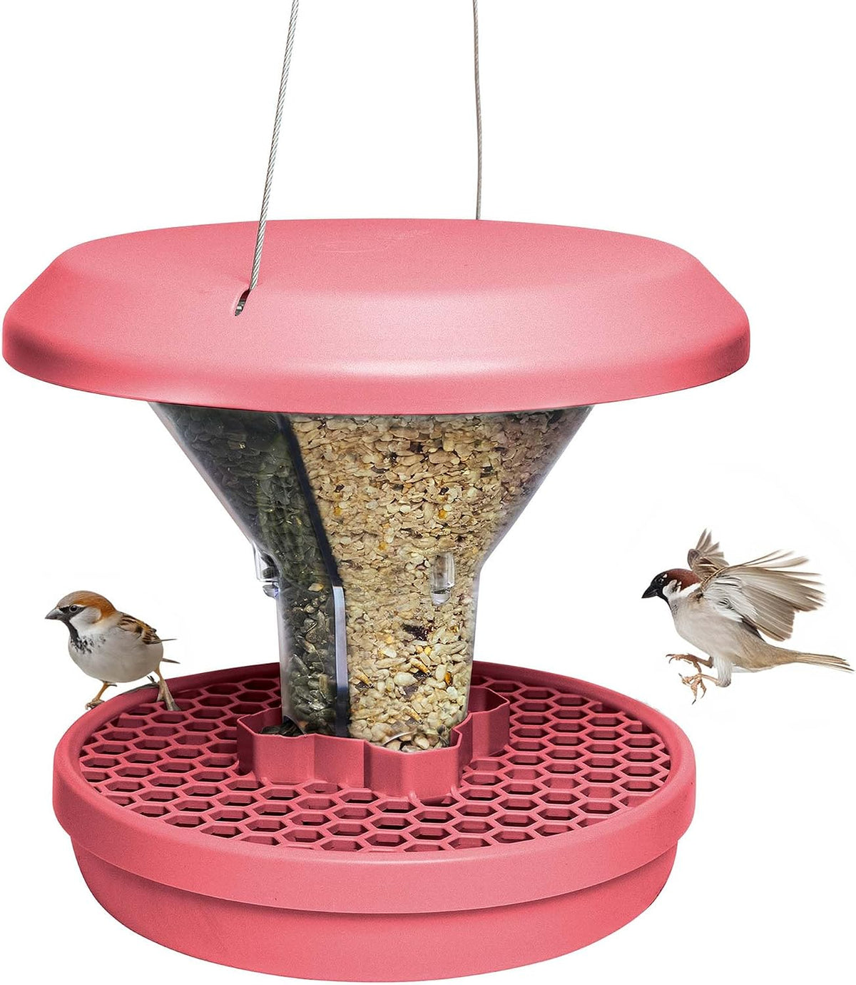 swissinno bird feeders - no mess hanging bird, main product view