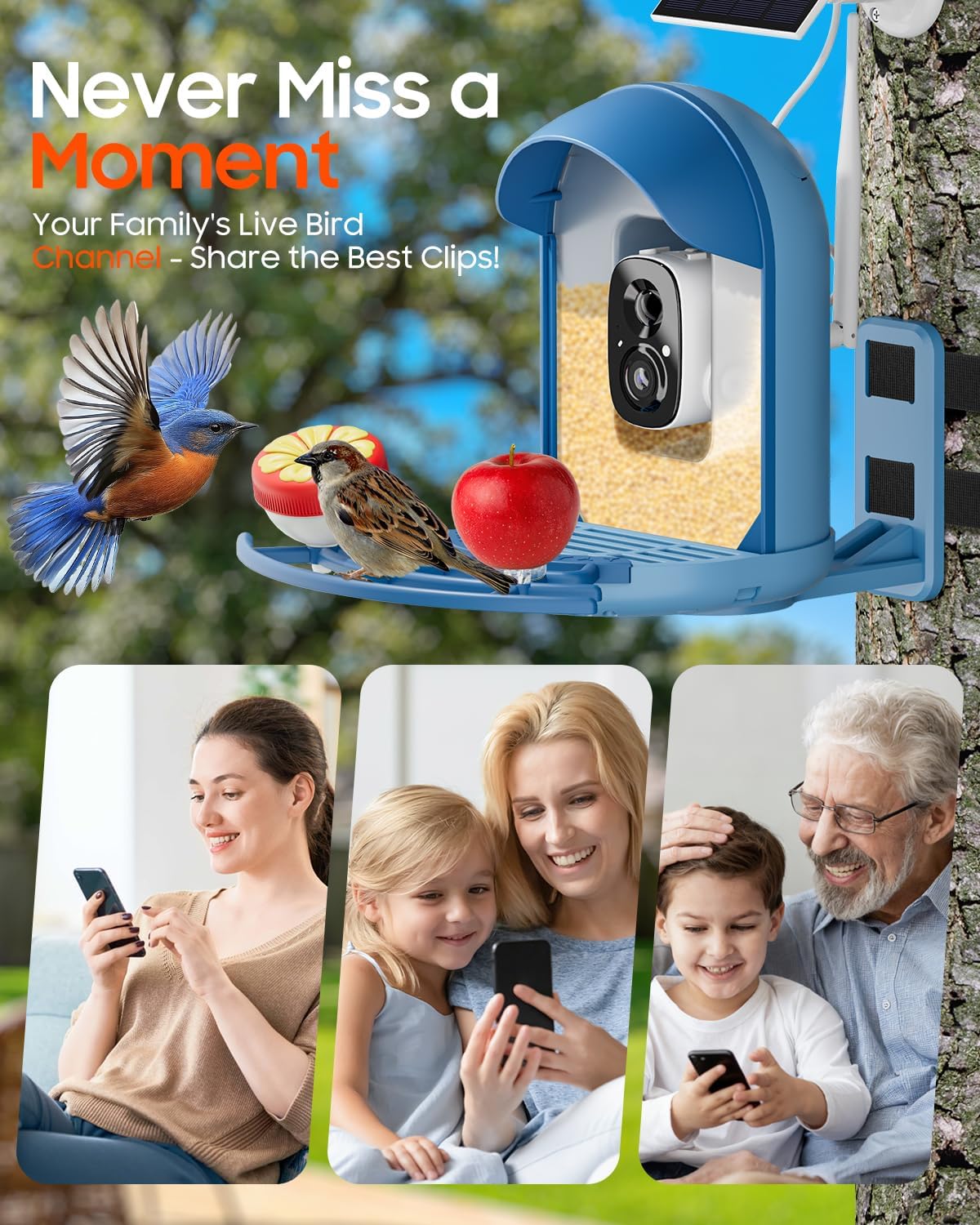 bird feeder with camera, smart birdfeeder with cam, close-up detail