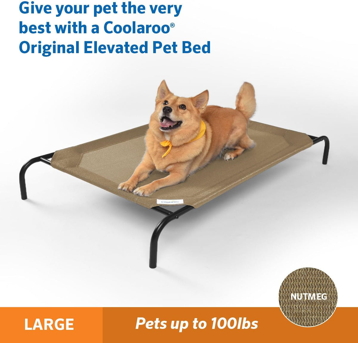 coolaroo original elevated dog bed - breathable off-the-ground shown in use
