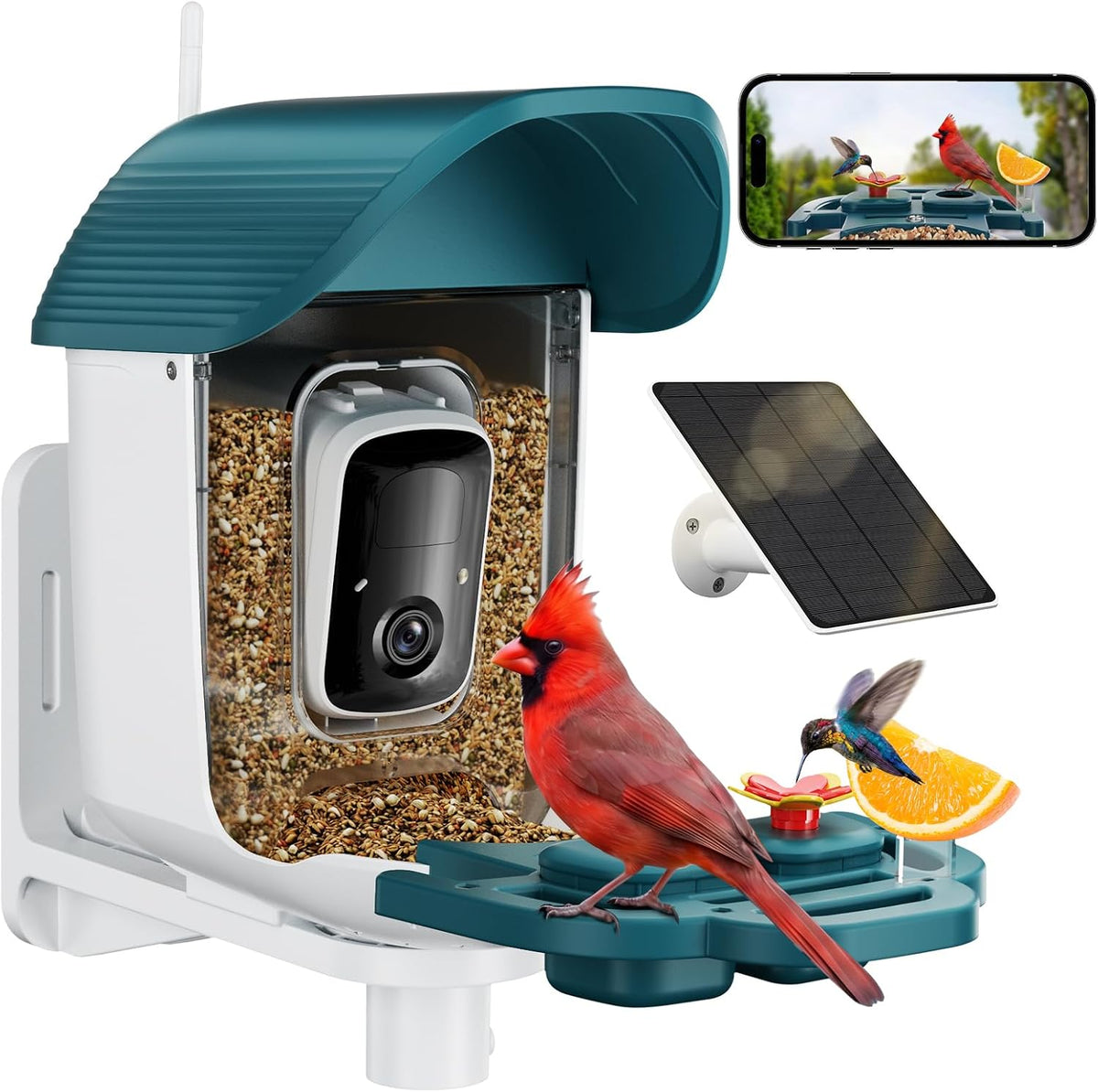 bird feeder with camera solar powered, 2k hd, main product view