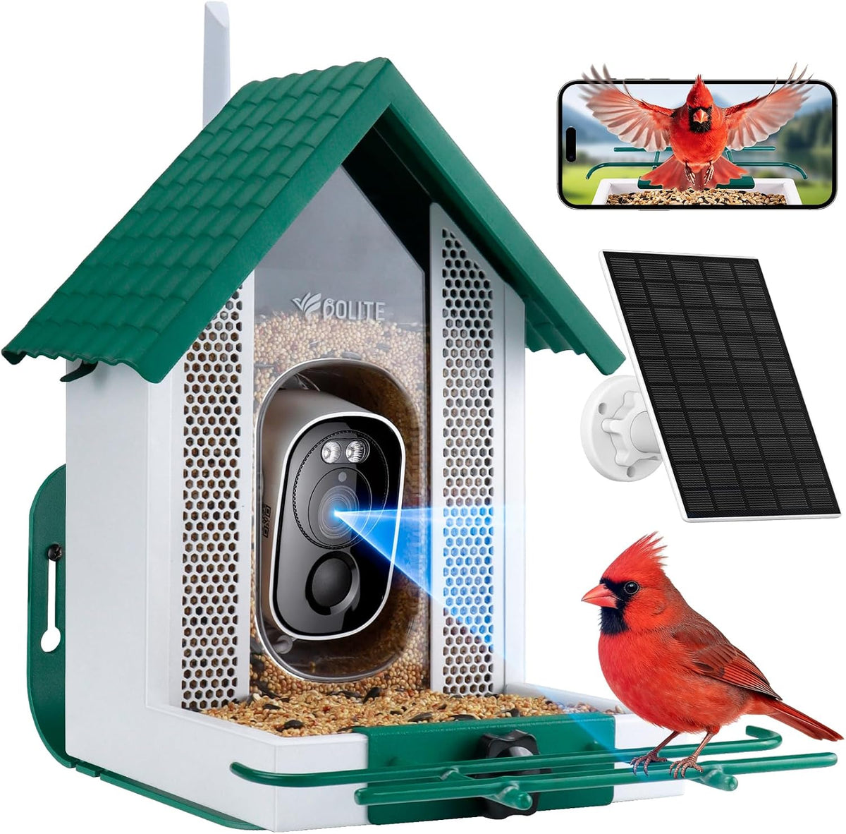 bolite smart bird feeder with camera 2.5k hd, main product view