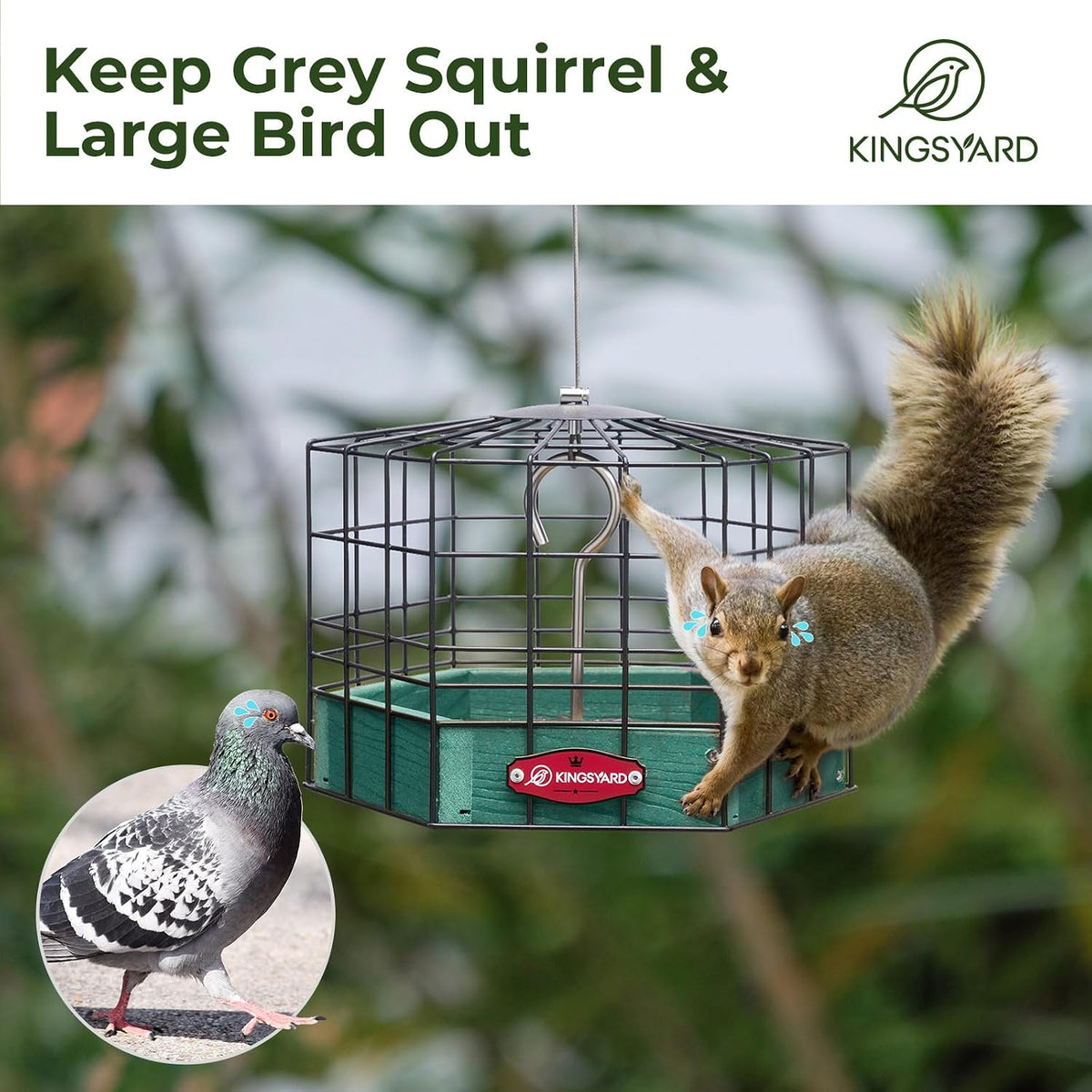 kingsyard squirrel proof platform bird feeder, side view