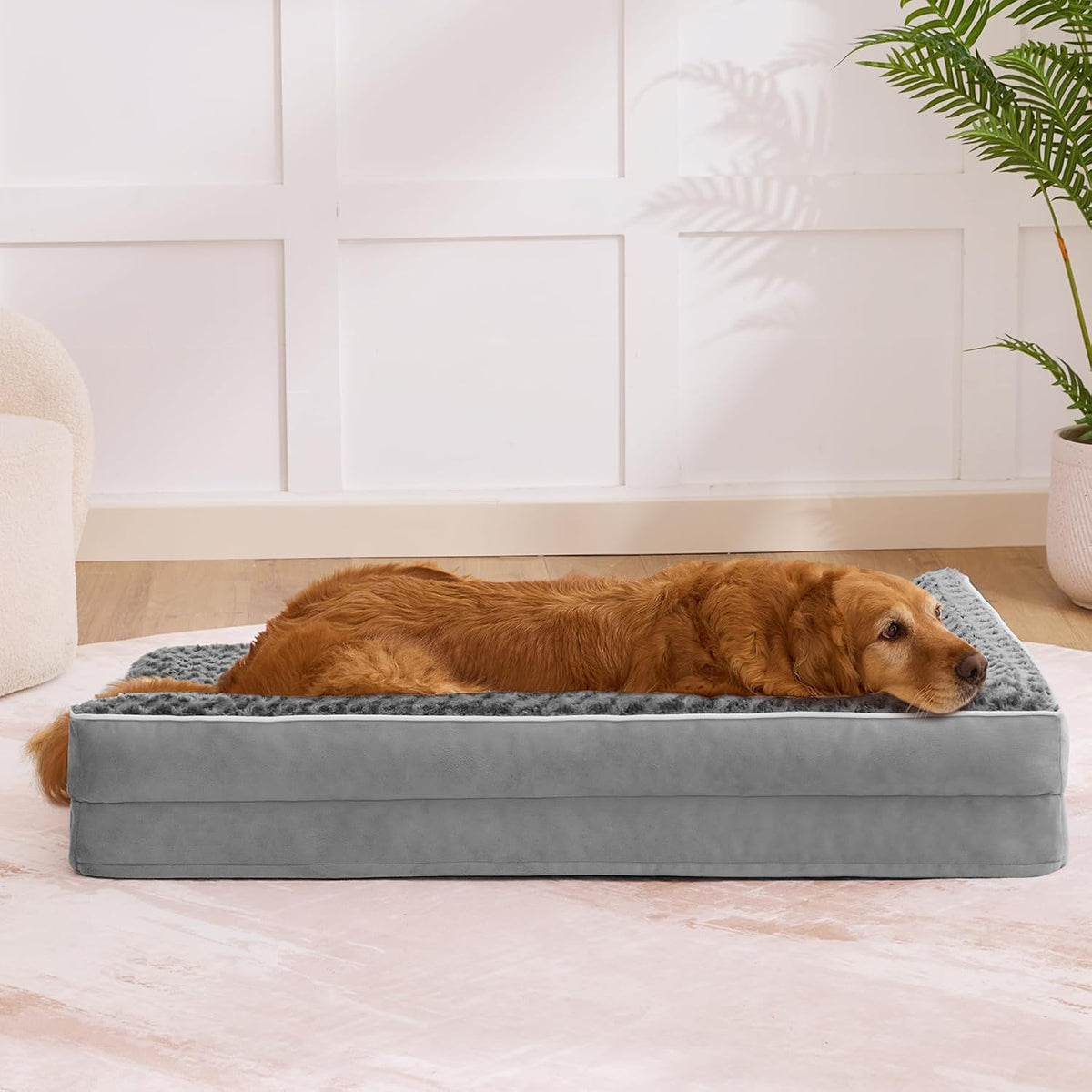 xl orthopedic dog bed for large sized dogs on a desk or shelf