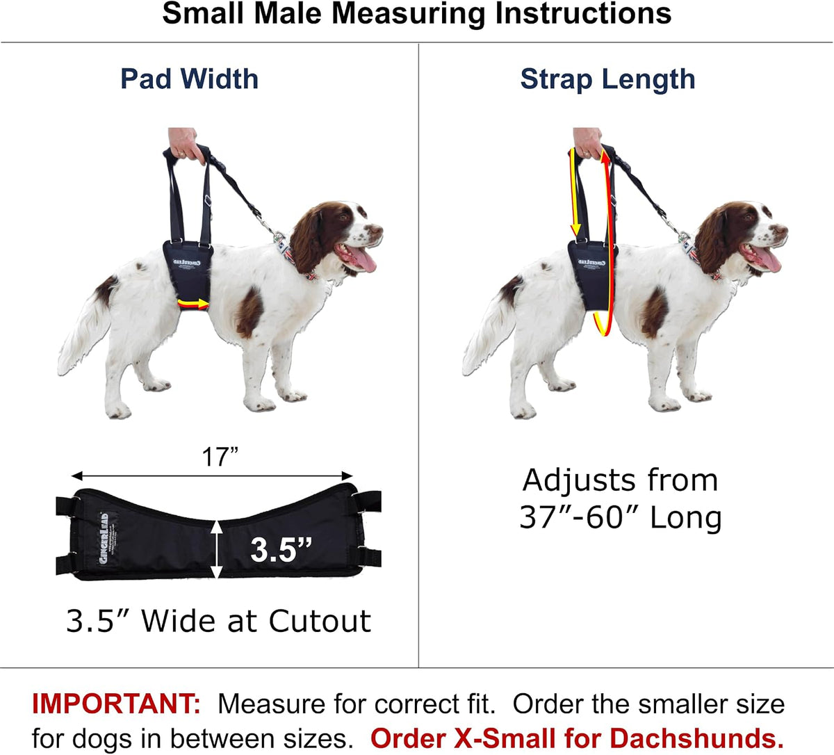 gingerlead® dog support sling rear leg harness, sm shown in use