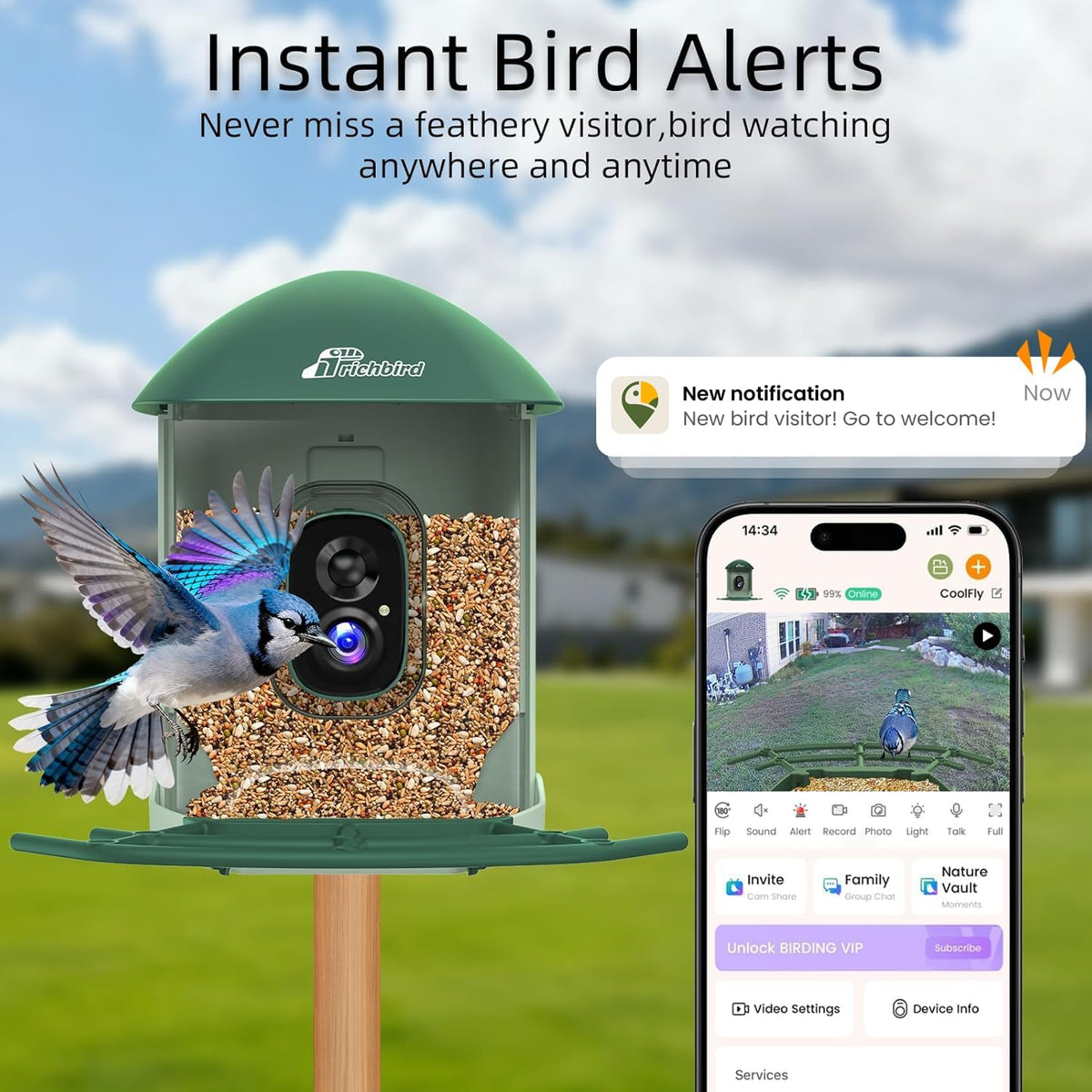 smart bird feeder with camera solar powered, 2.5k shown in use
