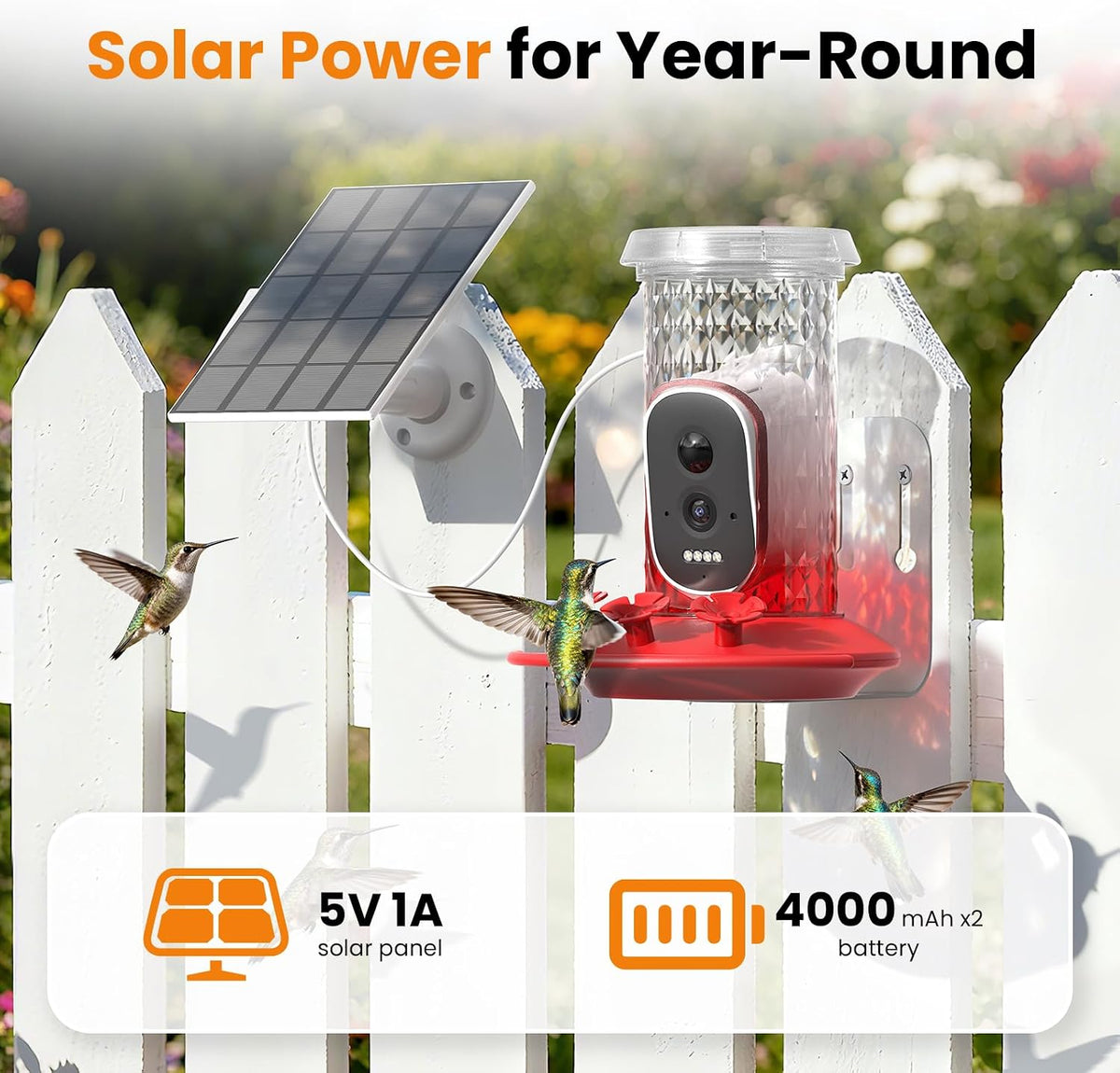 smart hummingbird feeder with camera solar powered, side view