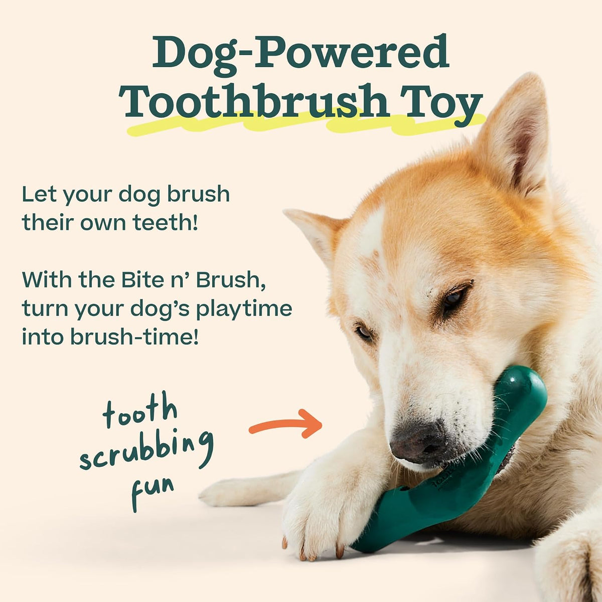 woof bite n' brush dog dental sticks, refills showing dimensions