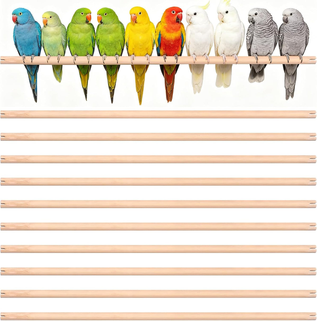 24 x 0.6 inches wooden bird perches for, main product view