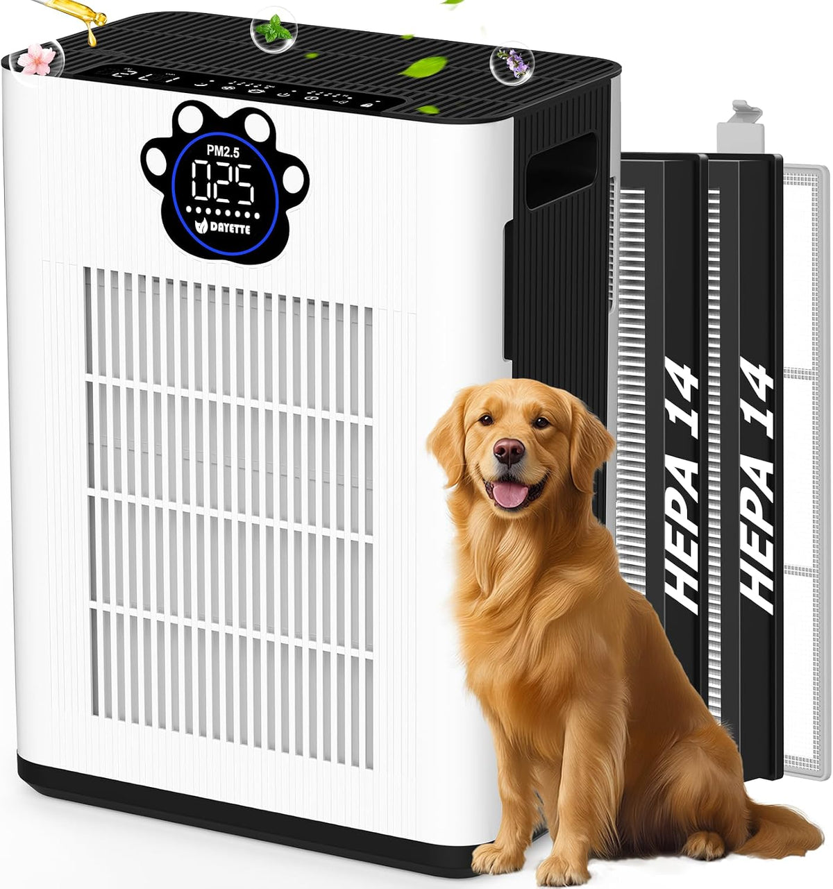 dayetteair purifiers for home large room up to, main product view