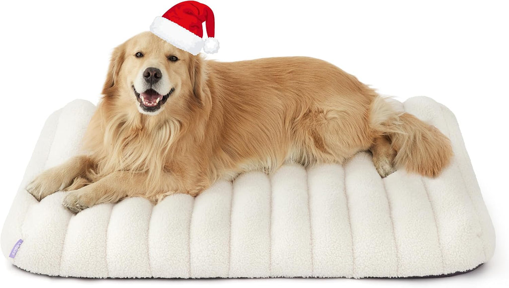 le sure cute orthopedic dog bed for extra, package contents