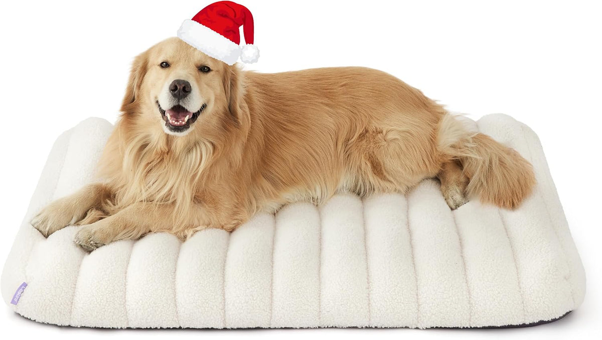 le sure cute orthopedic dog bed for extra, package contents