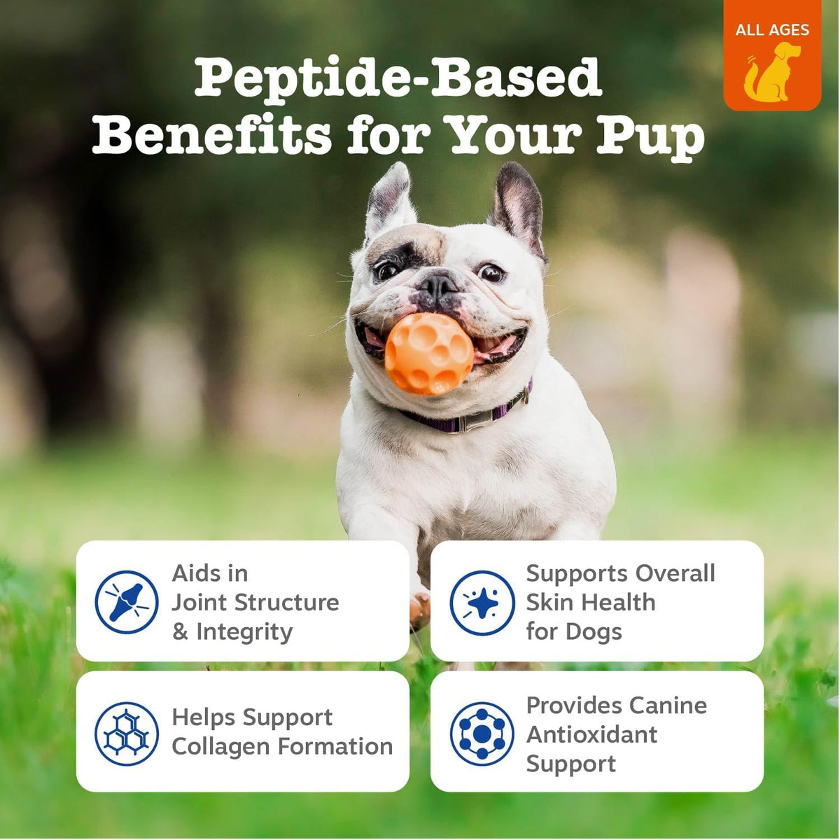 zesty paws multi collagen soft chews for dogs shown in use