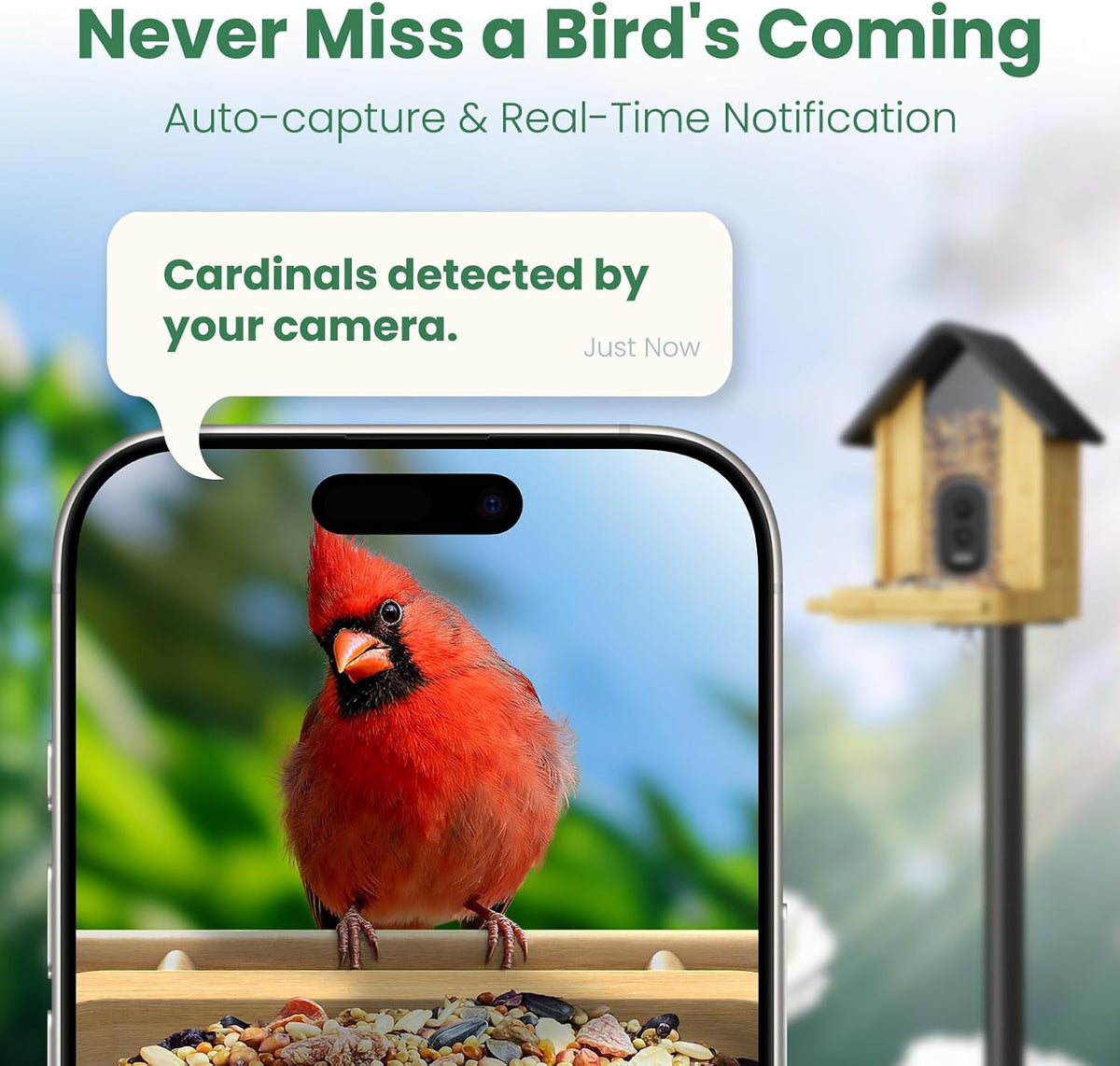 smart bird feeder camera with solar panel, bamboo shown in use