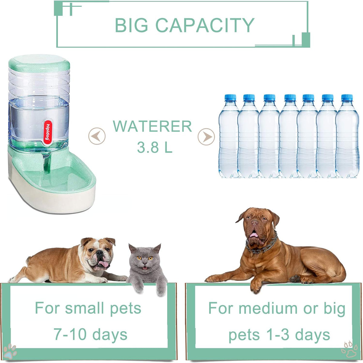 automatic cat feeders automatic dog feeder with dog, close-up detail