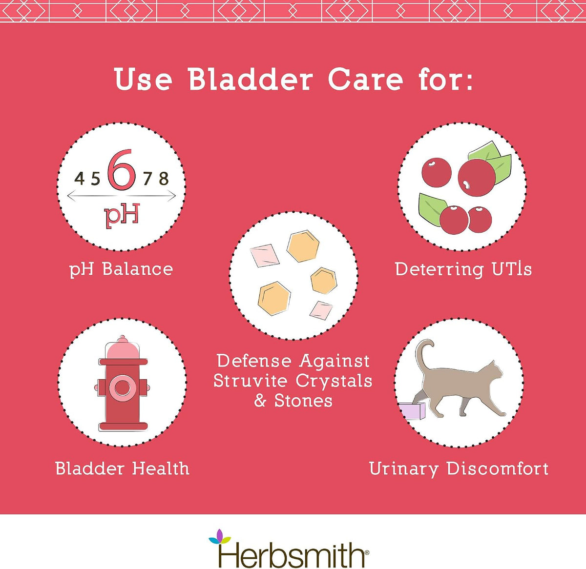 herbsmith bladder care for cats and dogs – showing dimensions