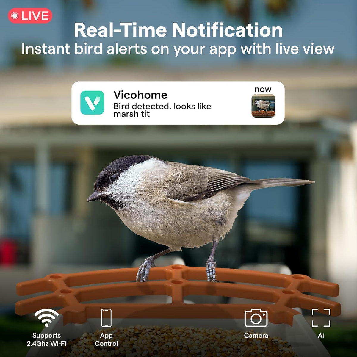 birdsview bird feeder with 2k ai camera, solar shown in use