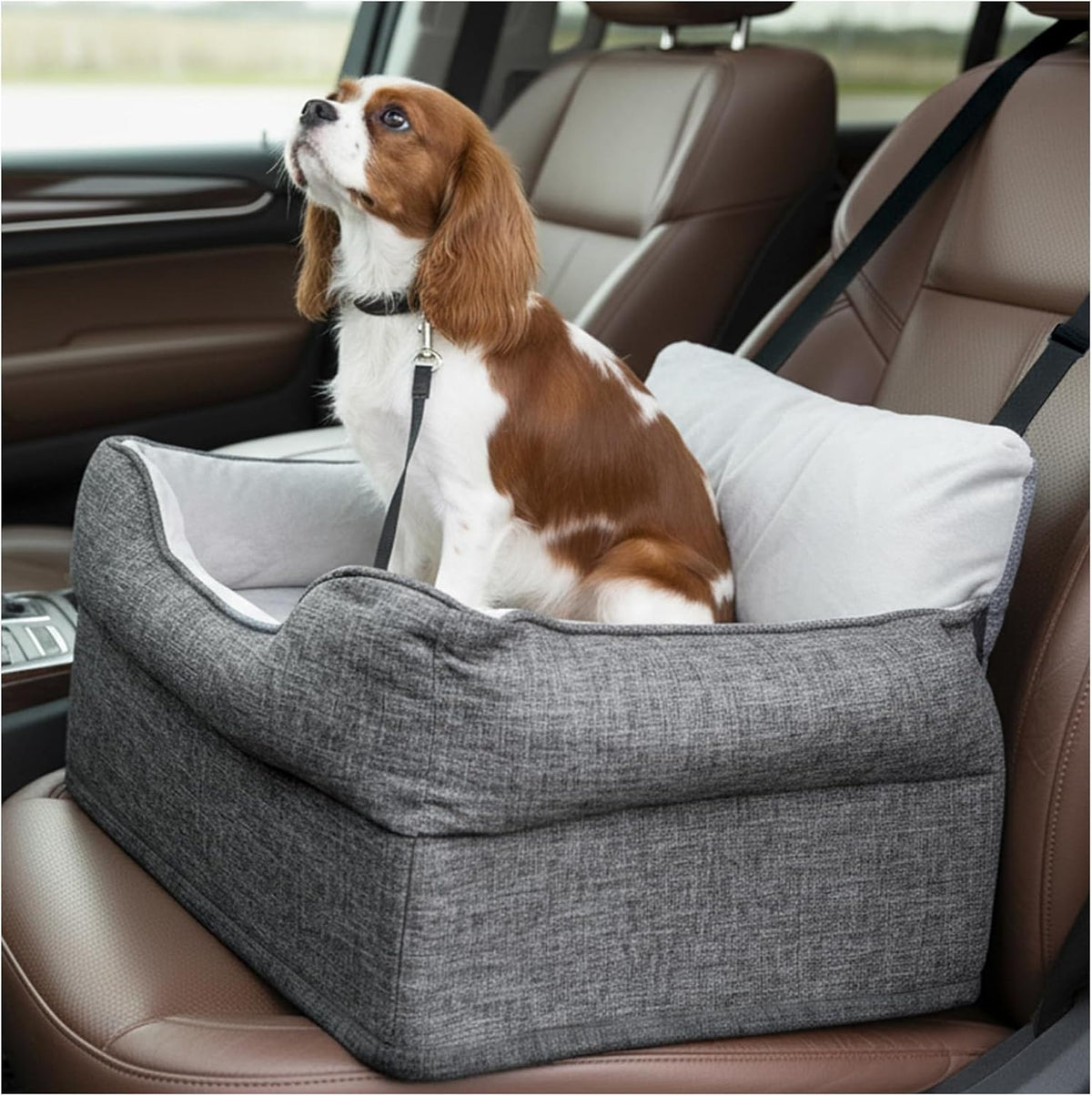 avont dog car booster seat for small/medium dogs, main product view