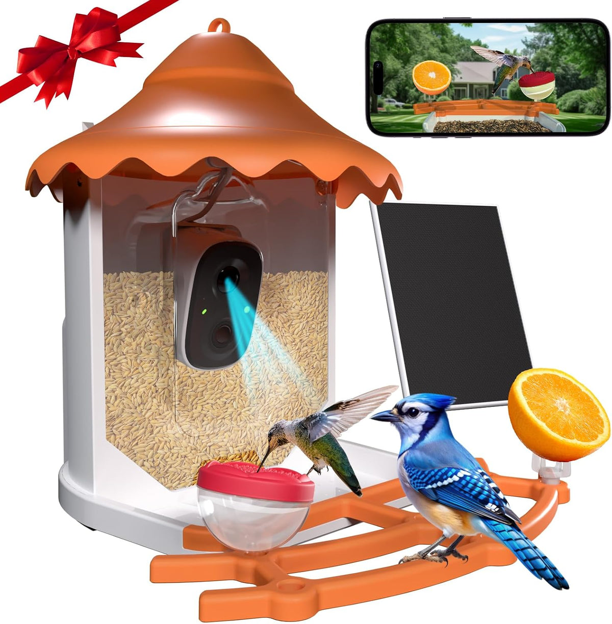 birdsview bird feeder with 2k ai camera, solar, main product view