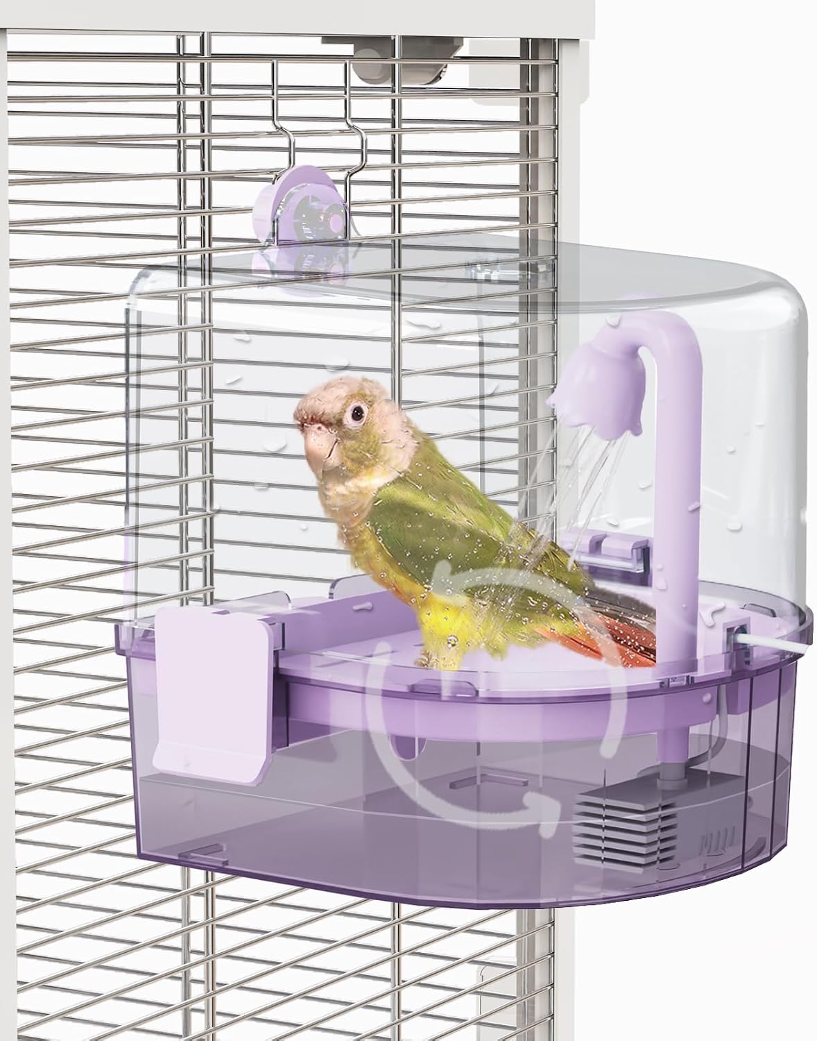 water circulation bird bath, hanging cage shower box(purple), main product view