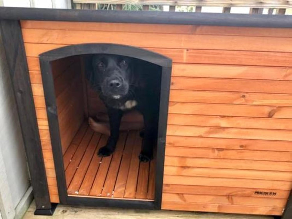 precision pet products extreme outback log cabin dog, front angle view