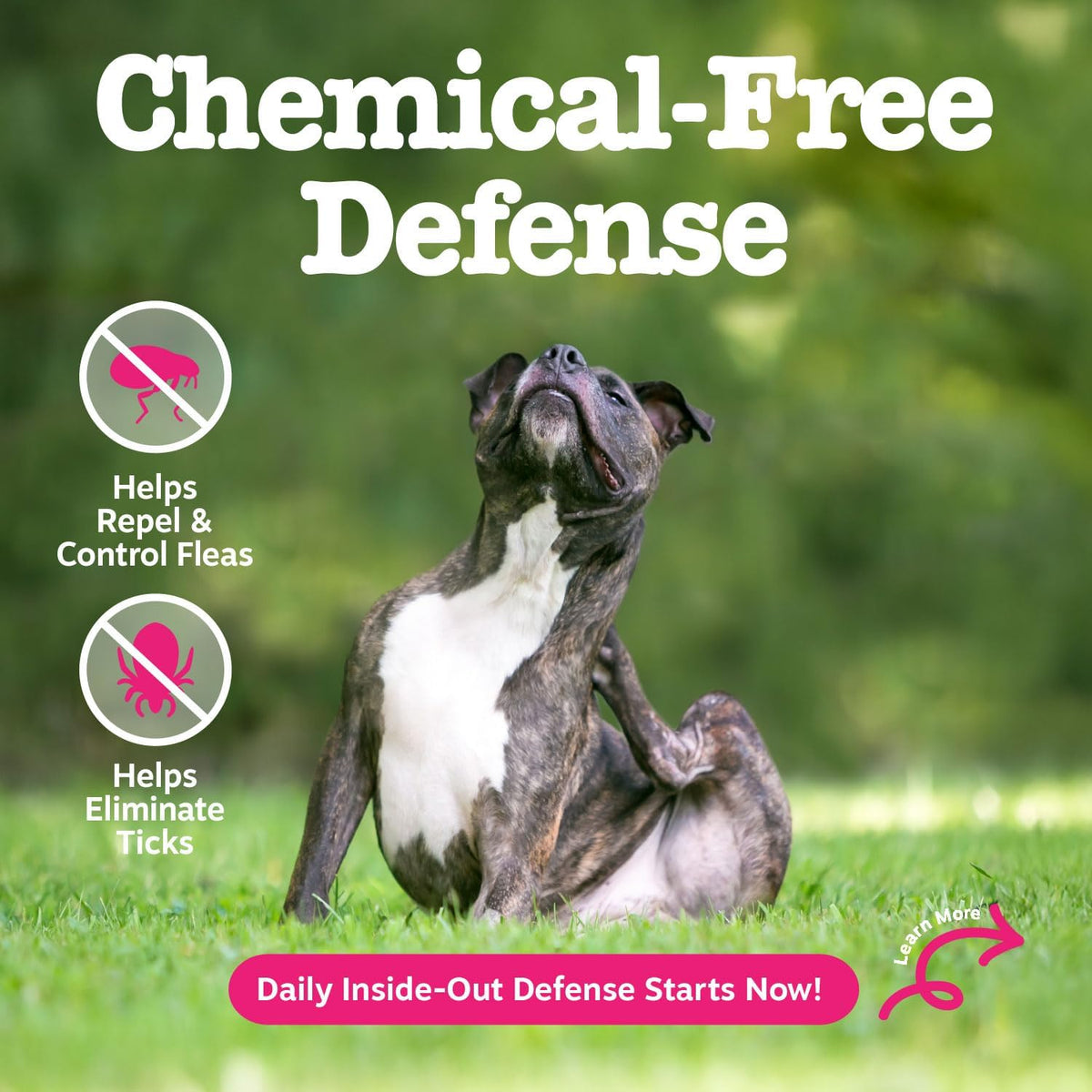 zesty paws flea and tick prevention for dogs shown in use