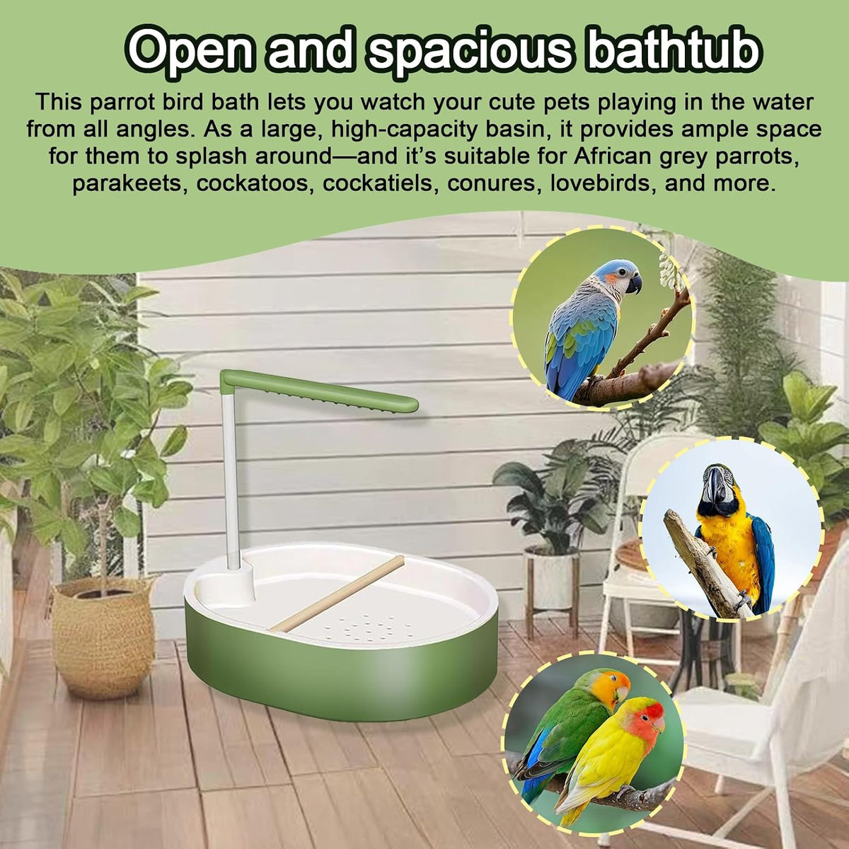 parrot shower, automatic parakeet bird bath with pump, close-up detail