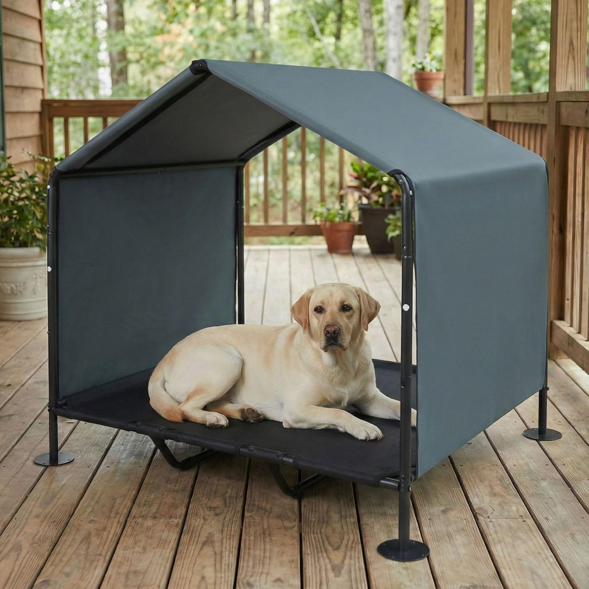 large dog shade with elevated dog bed, waterproof, front angle view