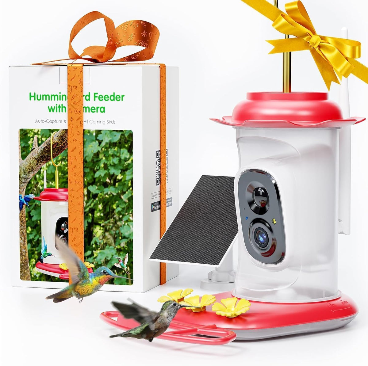 solar hummingbird feeder with camera, 2k live view, main product view