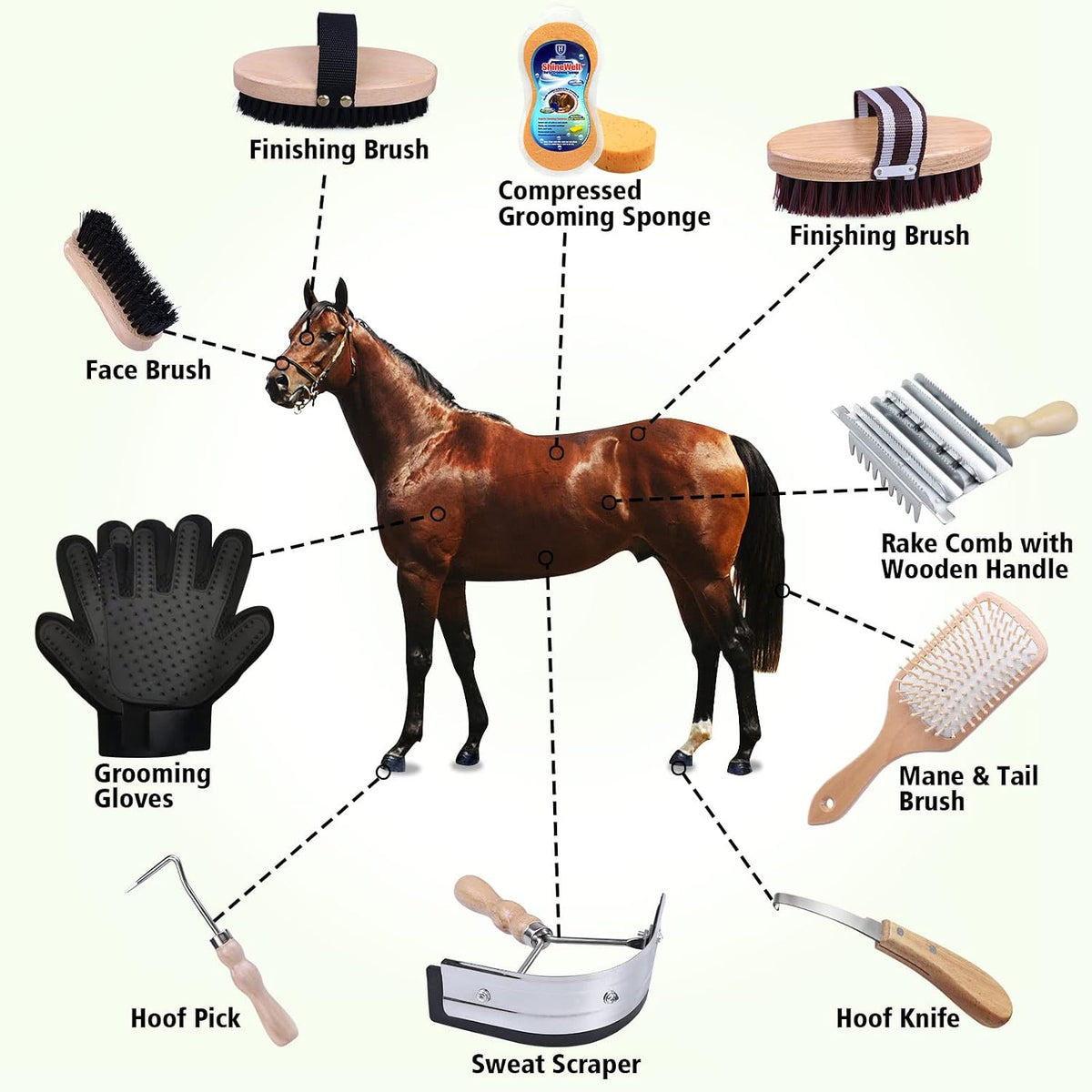 harrison howard horse grooming kit 10-piece wooden brush shown in use