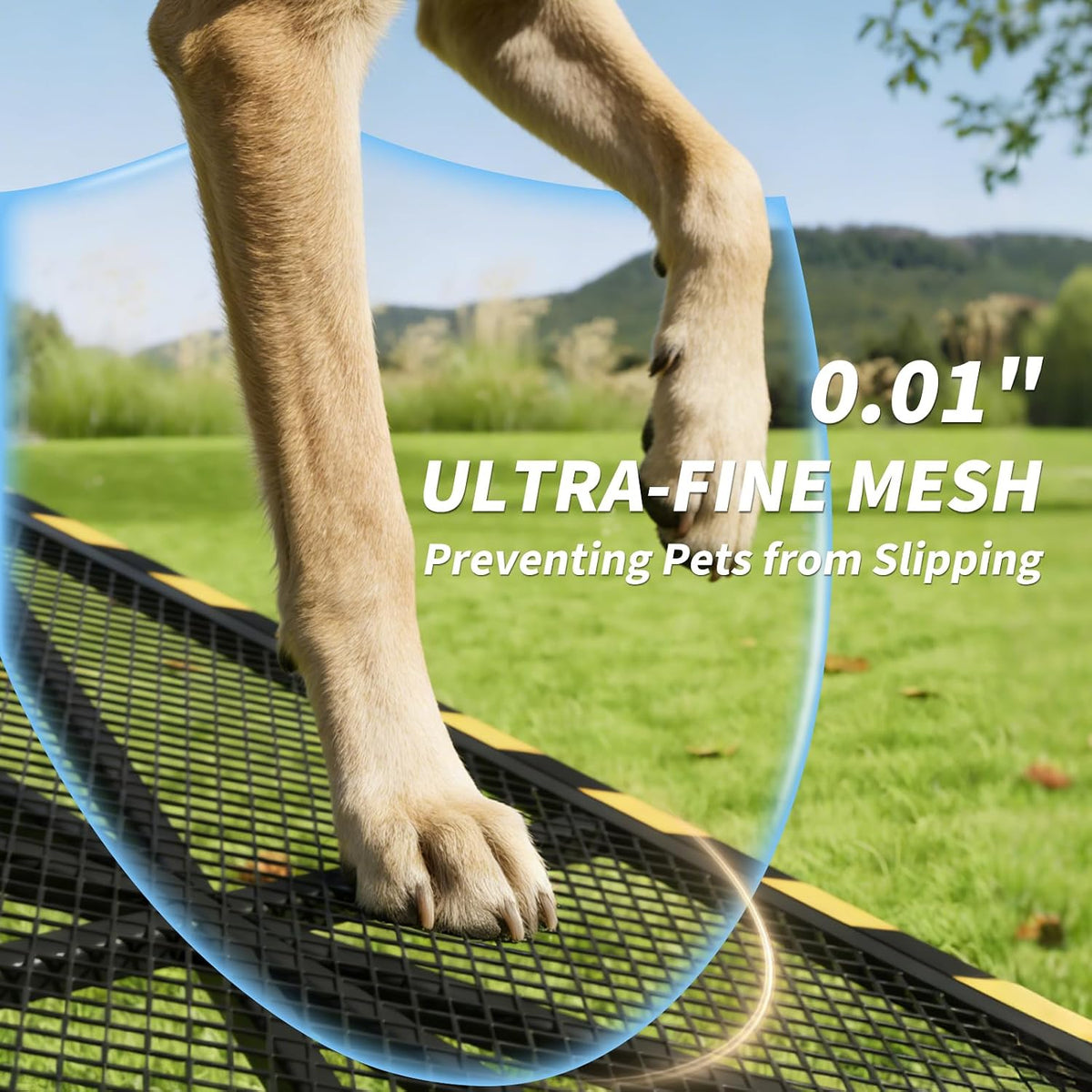 63'' l & 17'' w dog ramp for showing dimensions