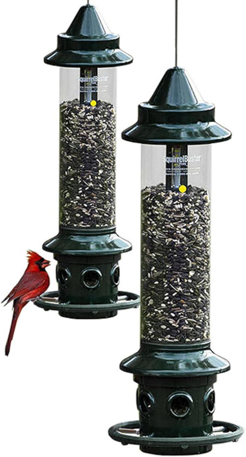 brome,squirrel buster plus 6"x6"x28" (w/hanger) wild bird feeder, main product view