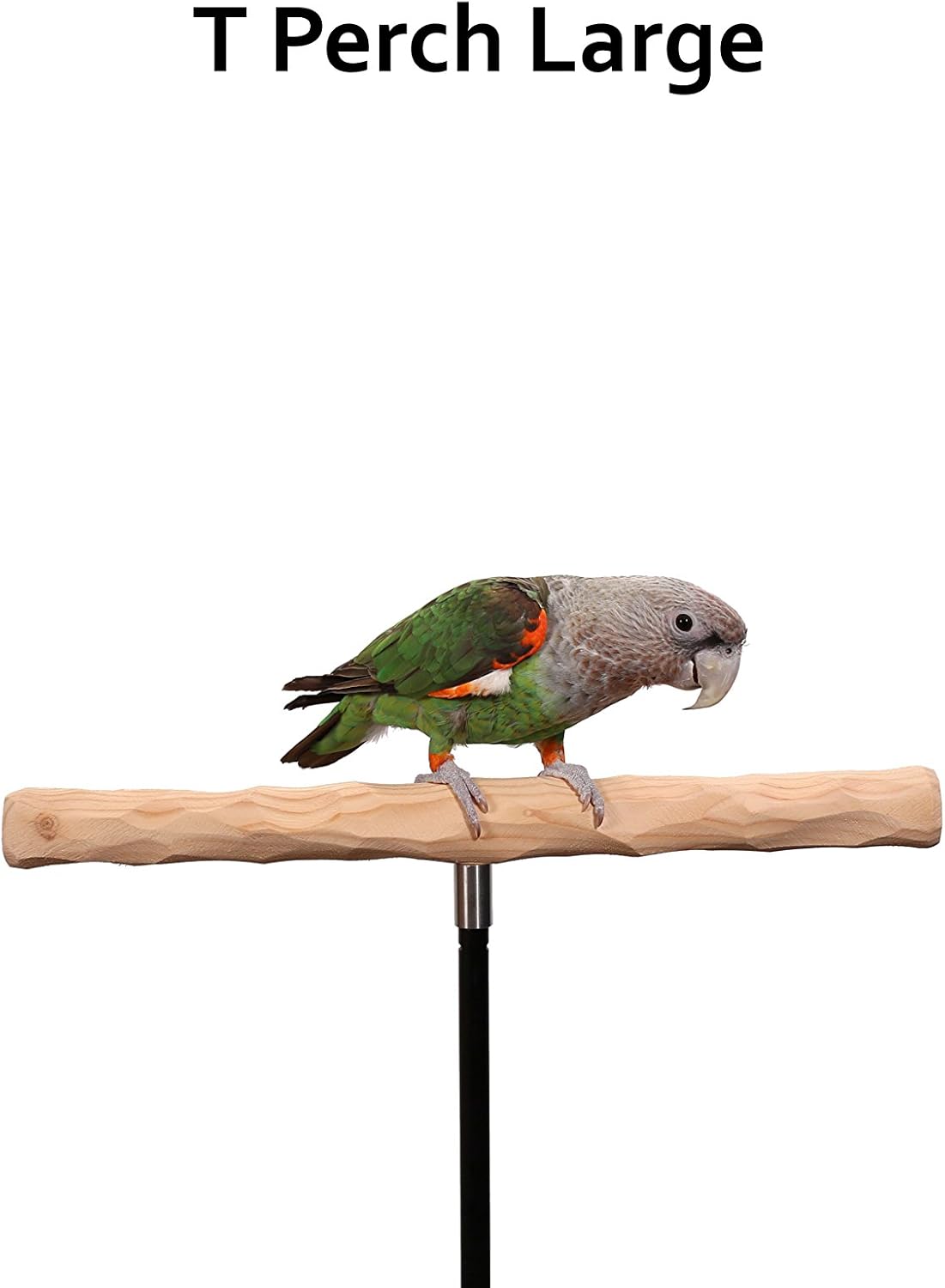 parrot training perch kit (t perch, large) shown in use