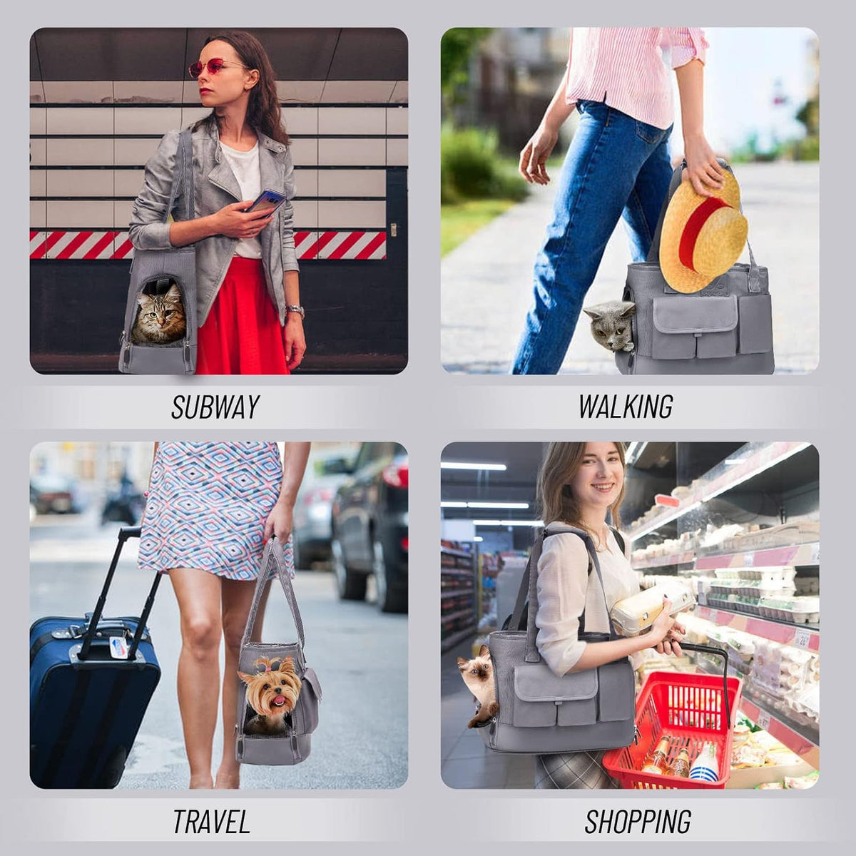 dog carrier, cat carrier, pet carrier, foldable waterproof shown in use