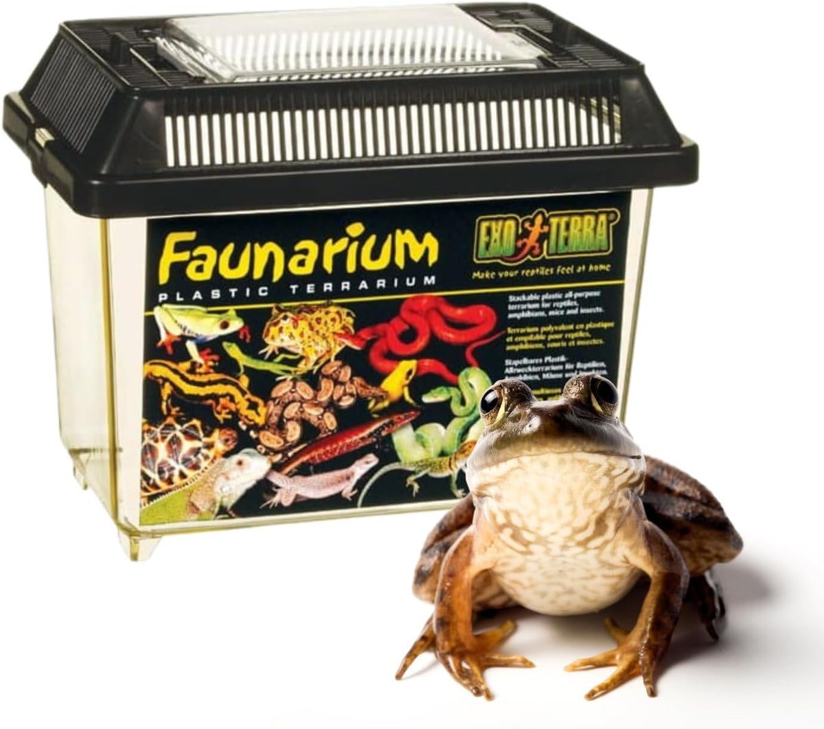exo terra faunarium, plastic reptile terrarium, large, pt2265, main product view