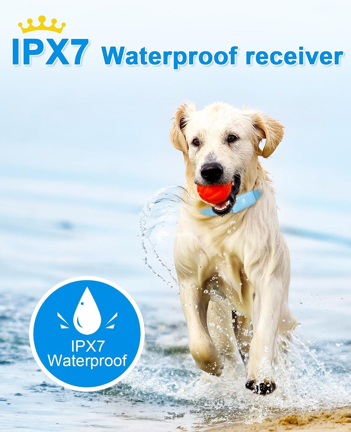 bousnic shock collar for dogs - waterproof rechargeable, close-up detail