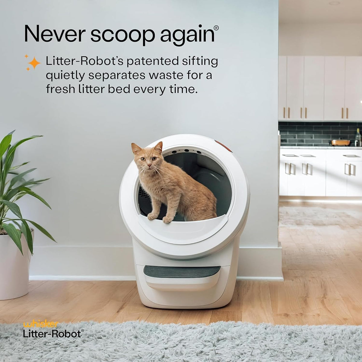 whisker litter-robot 4 supply & accessory bundle, white, close-up detail