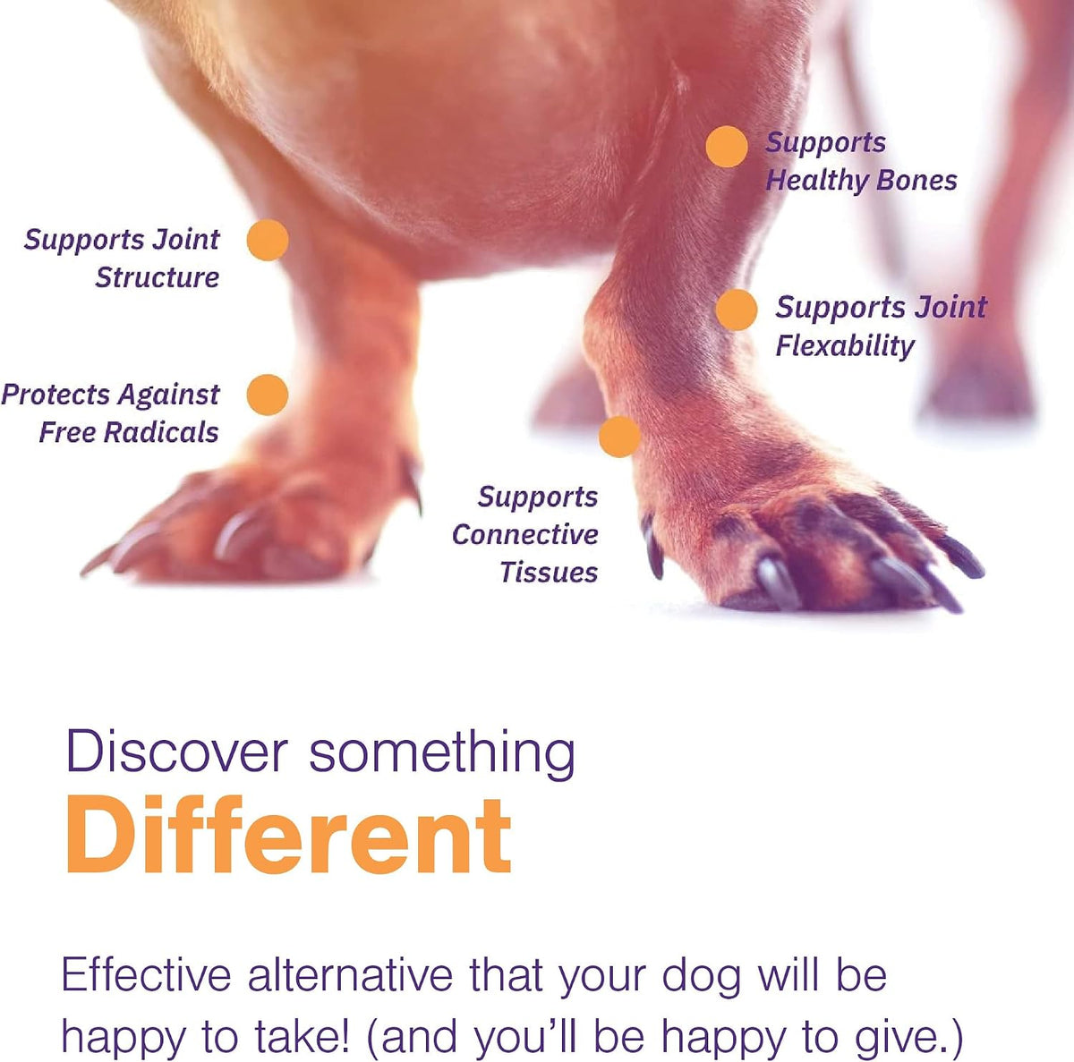 movoflex soft chews hip and joint support supplement, side view