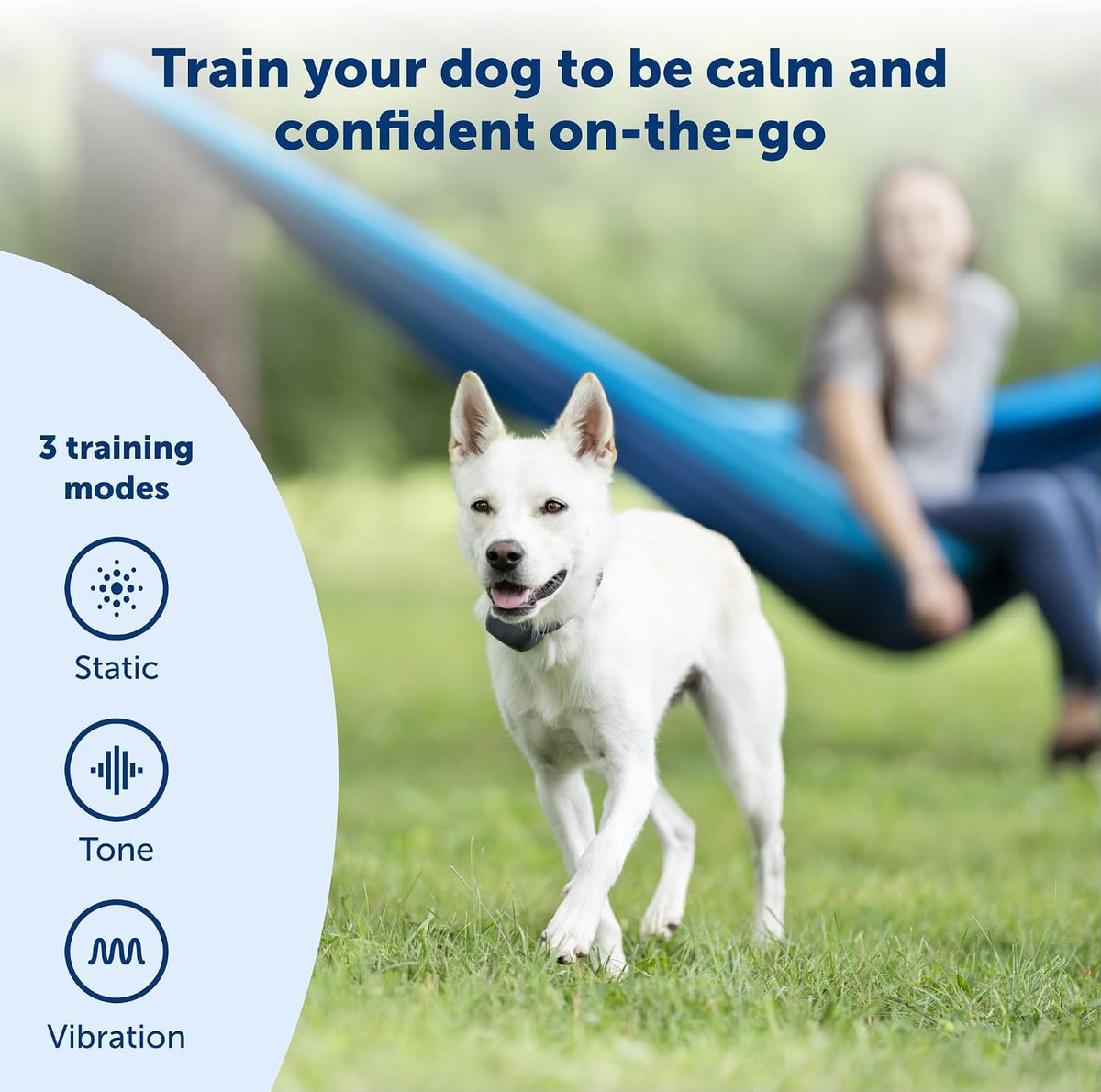 petsafe 300 yard remote training collar – choose, close-up detail