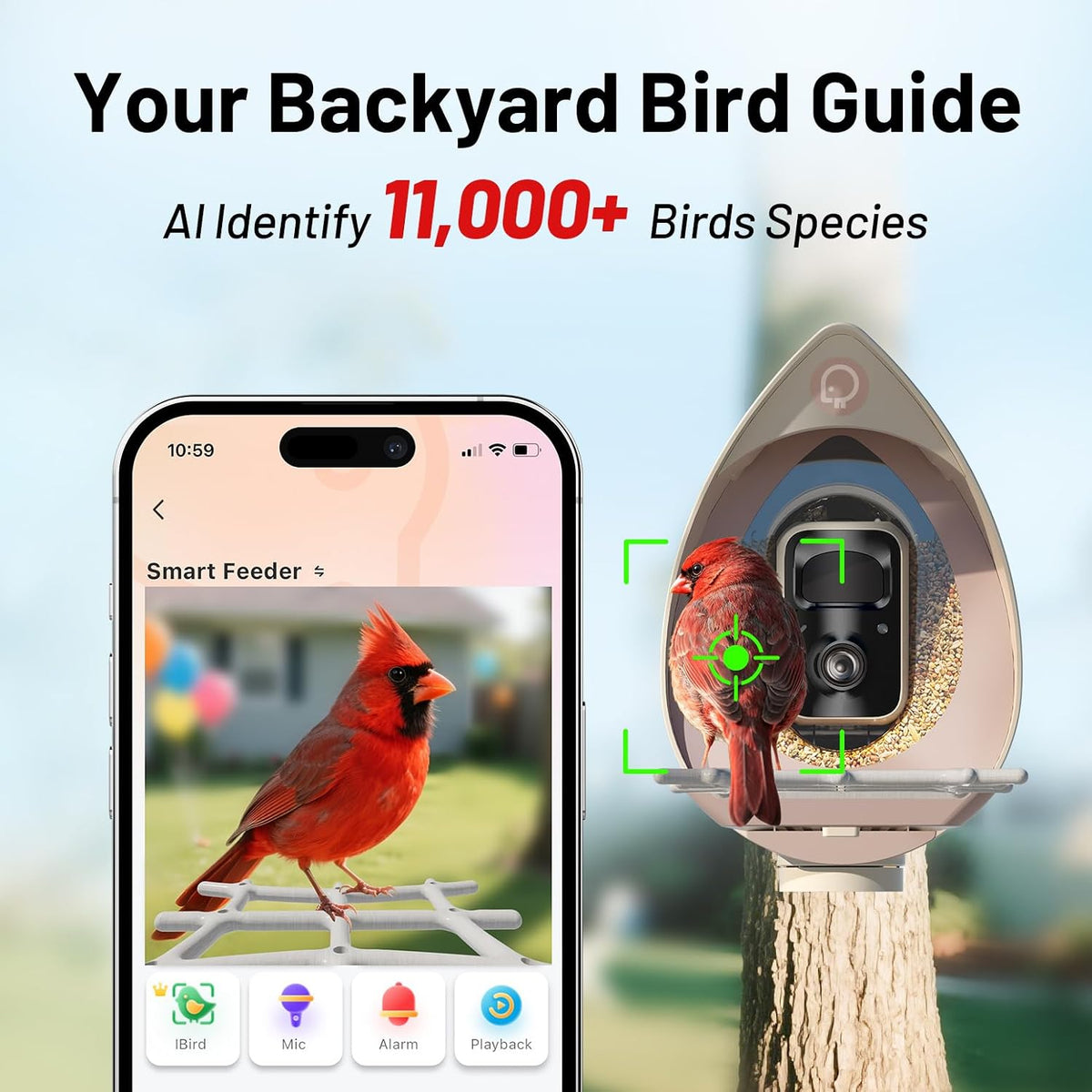 smart bird feeder with camera solar powered outdoor shown in use