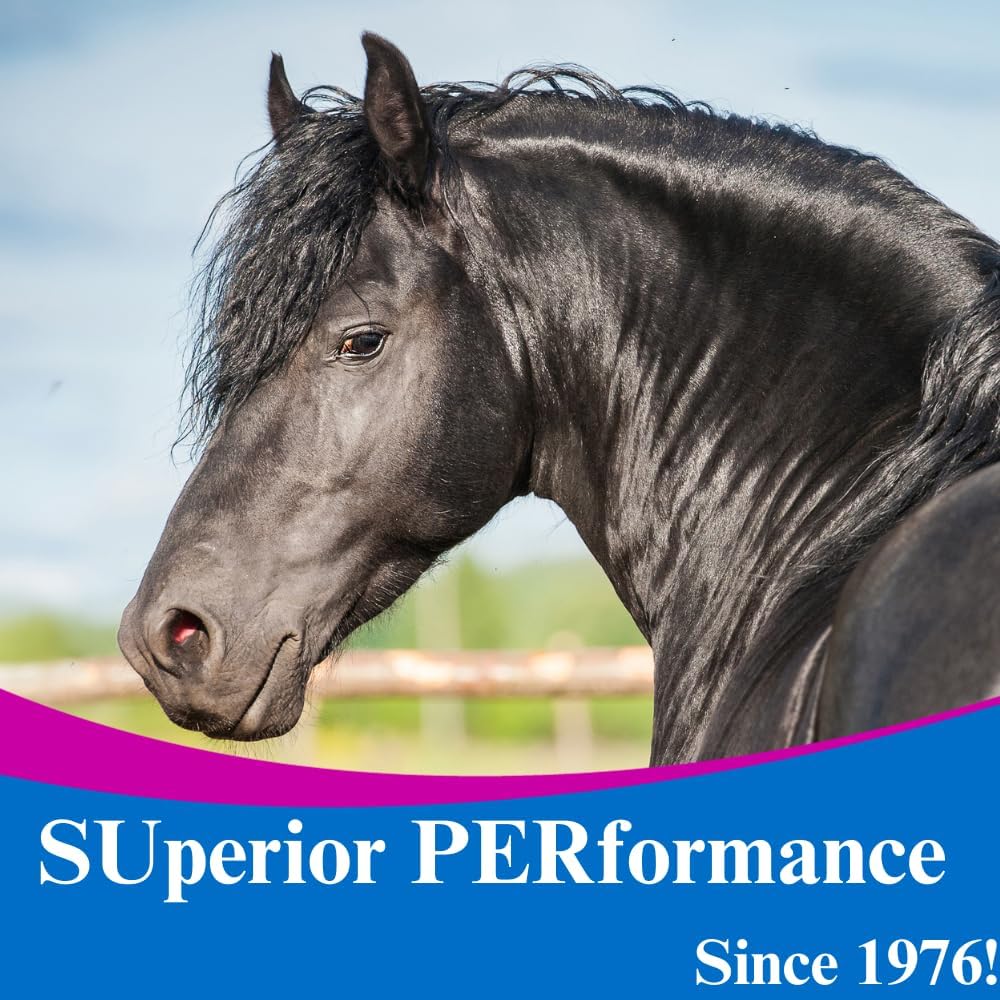su-per msm ultra pure supplement for horses, 10 showing dimensions