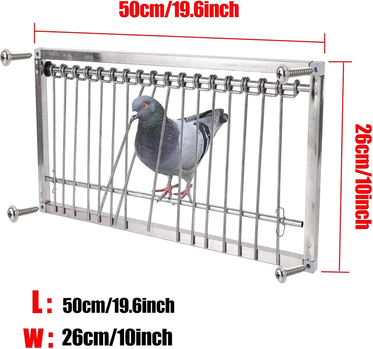stainless steel pigeon trap door, pigeon door, 50 shown in use