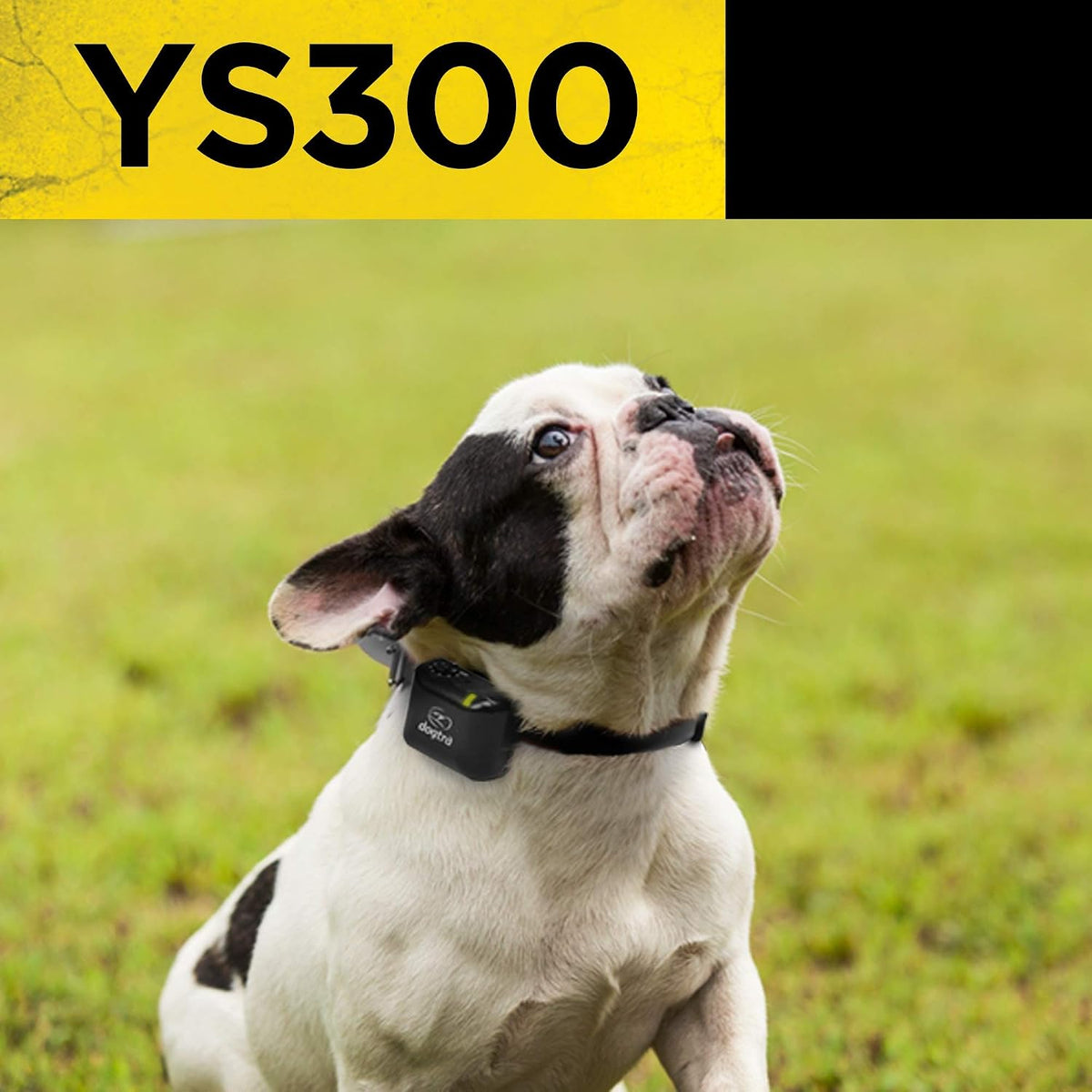 dogtra no bark collar ys300, side view