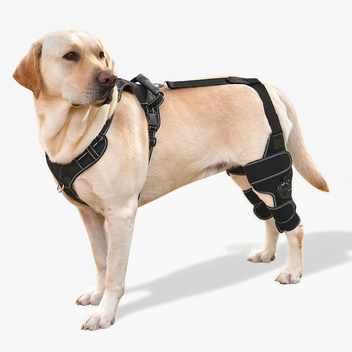 dog knee brace with adjustable support – acl, main product view