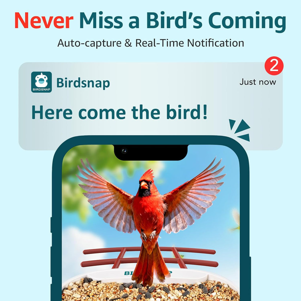 birdsnap® tuc bird feeder with camera solar powered, close-up detail