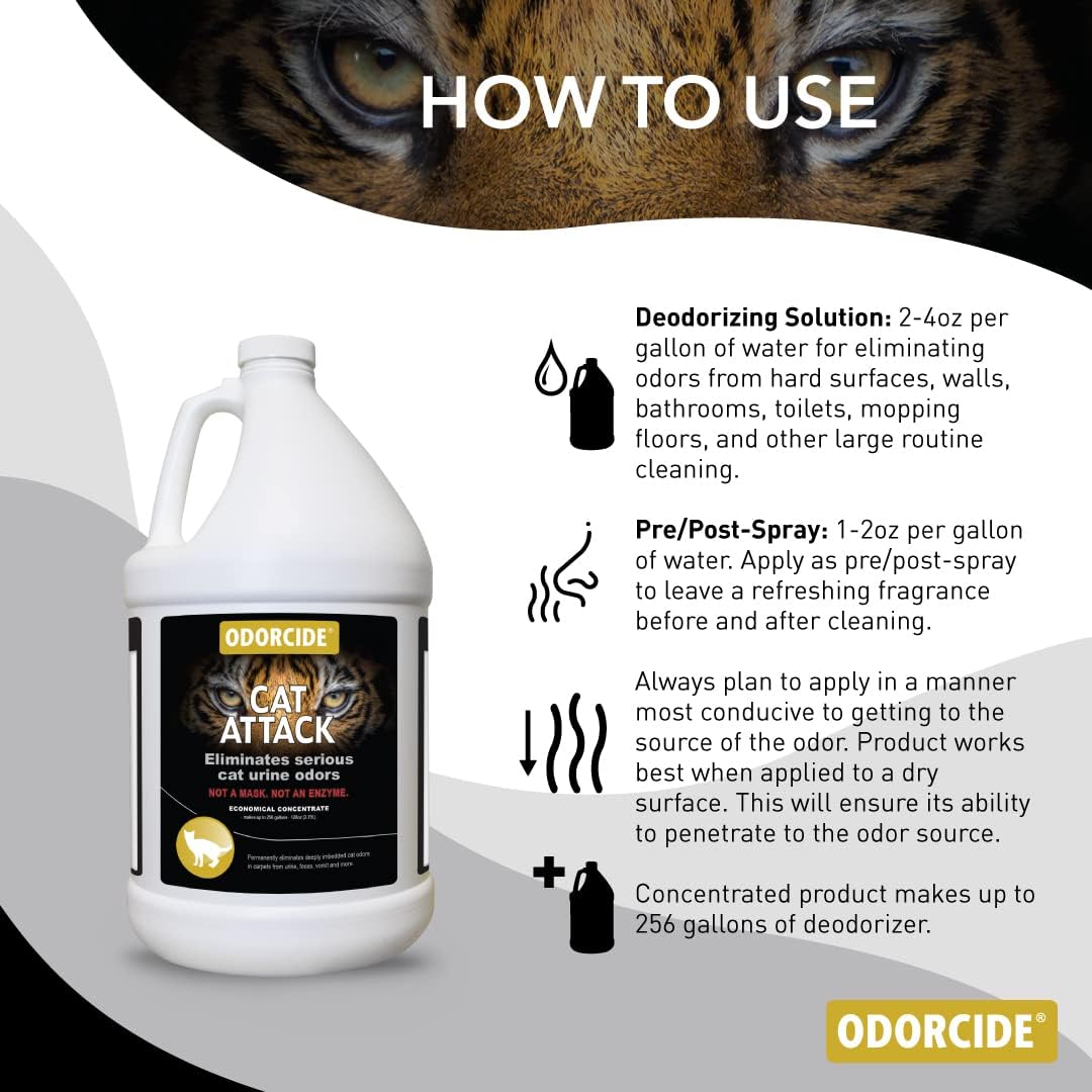 odorcide cat attack concentrate - cat urine remover shown in use