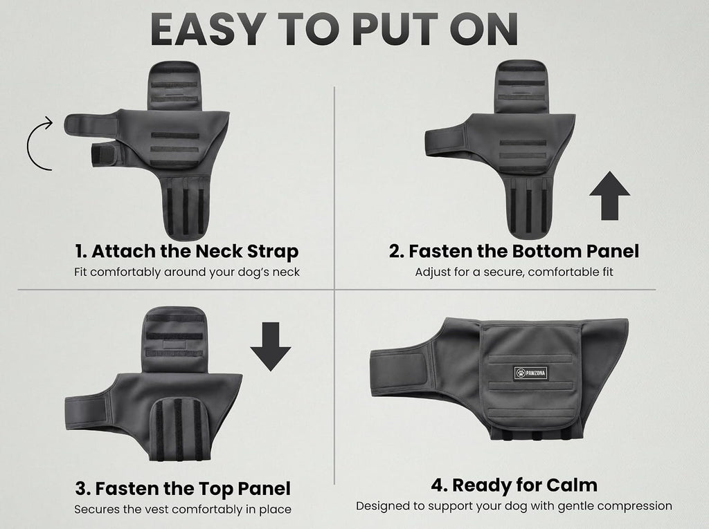 dog anxiety vest – calming vest & compression on a desk or shelf