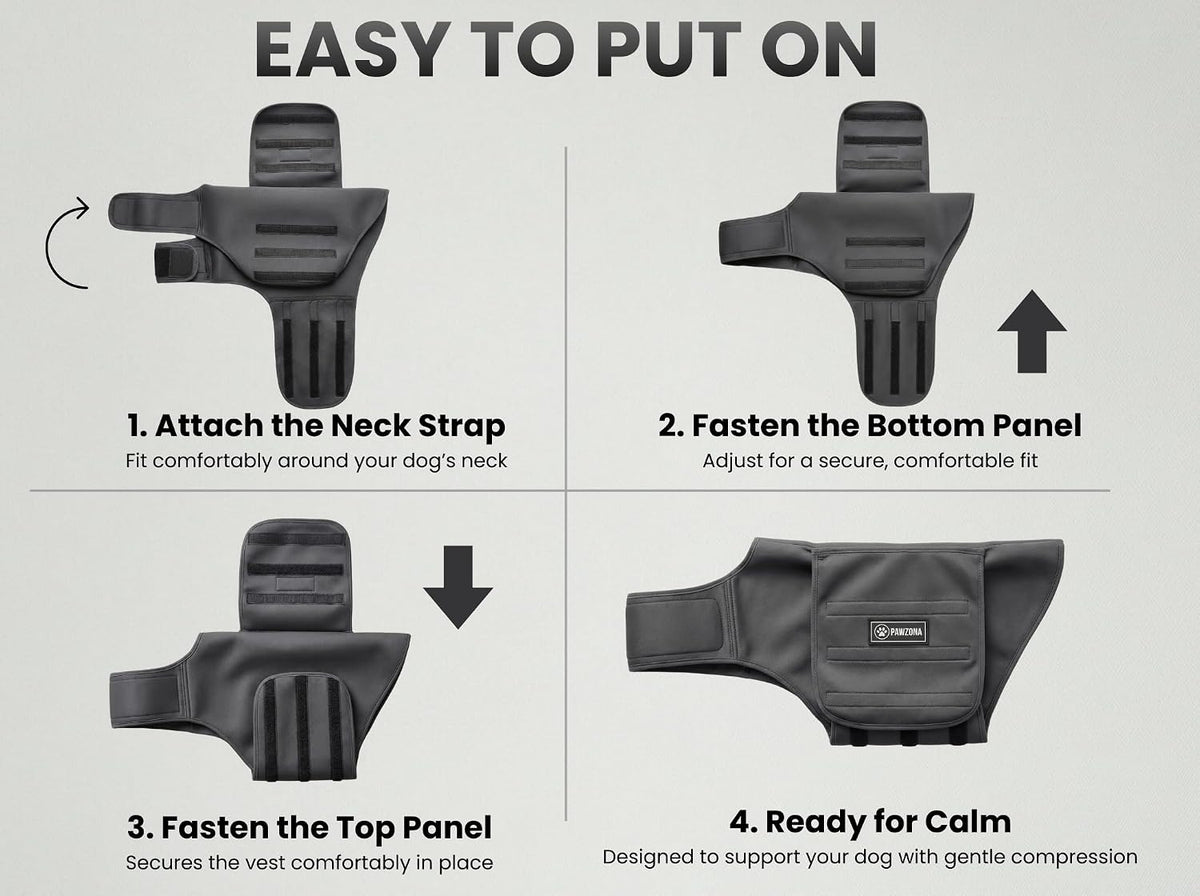dog anxiety vest – calming vest & compression on a desk or shelf