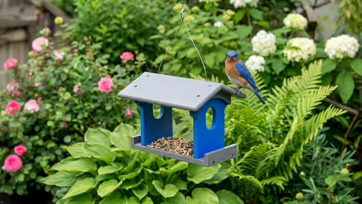 bluebird feeder - poly lumber - hanging blue, side view