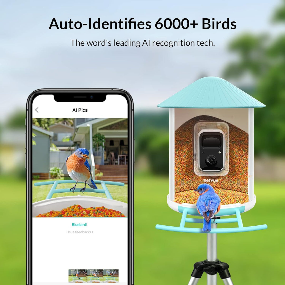 netvue birdfy - smart bird feeder camera, bird, close-up detail